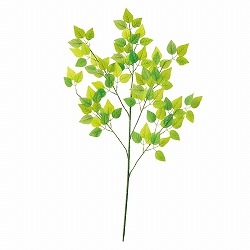 ��53-22-3-2 �O���[�����[�t�Z�b�g�i��}�j