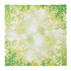 ��53-22-6-1 ���[�t�N���X