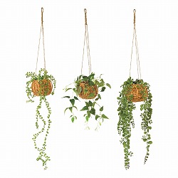 ��53-22-8-1 �n���M���O �O���[���o�X�P�b�g