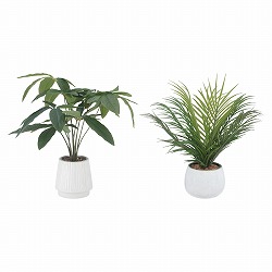 ��53-22-9-1 �t�F�C�N�O���[�� �Z���~�b�N�|�b�g