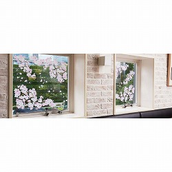 ★53-23-1-1 ウィンドウステッカー桜