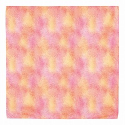 ��53-24-5-1 �t�F�f�B�X�v���C�V�[�g