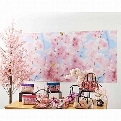 ��53-25-11-1 �f�B�X�v���C�V�[�g ���y�h�����H�z