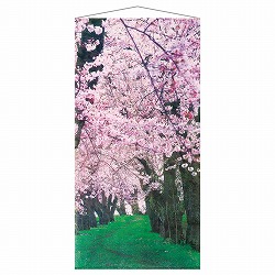 ��53-25-3-1 �^�y�X�g���[ ���V�� �y�h�����H�z