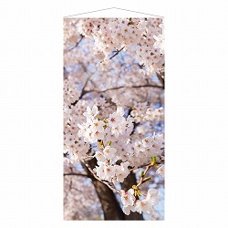 ��53-25-4-1 �^�y�X�g���[ �����J �y�h�����H�z