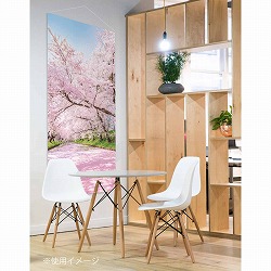 ��53-25-6-1 �^�y�X�g���[ ��ӂ̍� �y�h�����H�z