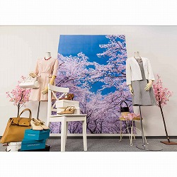 ��53-25-7-1 �ޯ���׳��޼�� ������ 175×240cm