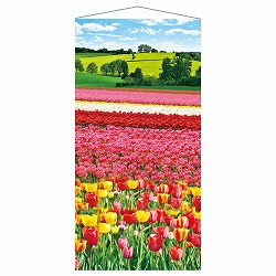 ��53-26-5-1 �^�y�X�g���[ �`���[���b�v��