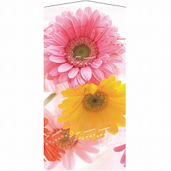 ��53-26-6-1 �^�y�X�g���[ �K�[�x���y�h�����H�z