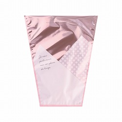 ��53-28-5-1 50�� �X�p�[�N�����O�u�[�P�o�b�O