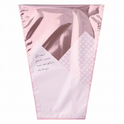 ��53-28-5-2 50�� �X�p�[�N�����O�u�[�P�o�b�O