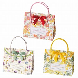 ��53-28-7-1 20�� �t���b�v�y�[�p�[�o�b�O ���t�B�l