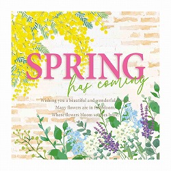 ��53-31-8-1 10�� �X�v�����O�K�[�f�� �e�[�}�|�X�^�[