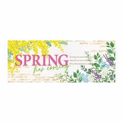 ��53-31-9-1 10�� �X�v�����O�K�[�f�� �p���|�X�^�[