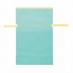 ★53-42-12-2 10枚 不織布リボン付きギフトバッグ ミント