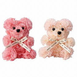 ★53-47-2-1 カーネーションベア