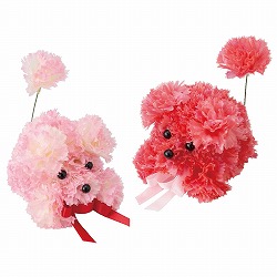 ★53-47-3-1 カーネーションプードル