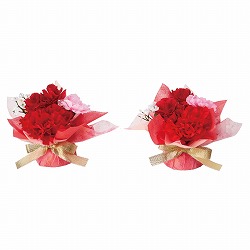 ★53-48-5-1 2個 母の日ラップ 高さ11cm