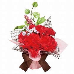 ★53-48-6-1 カーネーションベリーミックスラップ 高さ15cm