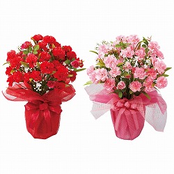 ★53-48-7-1 母の日造花アレンジ(レッド)