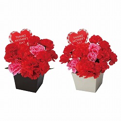 ★53-48-8-1 2個 スクエアカーネーションポット(造花)