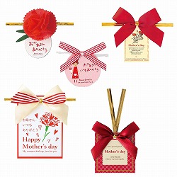 ★53-50-1-1 10個 ワイヤータイ 母の日