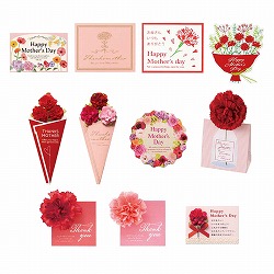 ★53-51-1-1 母の日メッセージカード