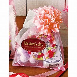 ★53-51-3-1 10本 カーネーションフルリール