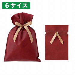 ★53-51-6-2 10枚 不織布リボン付きギフトバッグ シックカラー