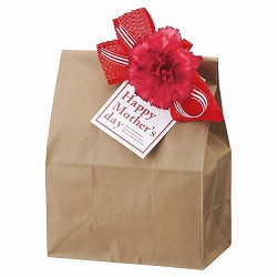 ★53-52-2-1 10個 フルリールクリップ 母の日 ハッピーマザーズデー