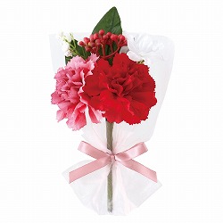 ��53-53-2-1 6�� ��̓��t�����[���~�j�u�[�P