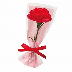 ��53-55-2-1 20�� ��փJ�[�l�[�V�������ԃu�[�P