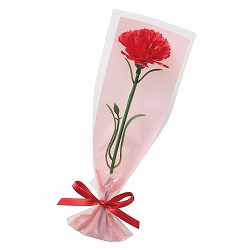 ��53-55-2-2 20�� ��փJ�[�l�[�V�������ԃu�[�P