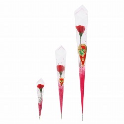 ��53-55-3-1 �J�[�l�[�V�������b�v�� ���b�h