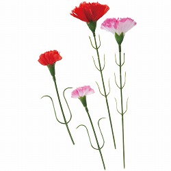 ��53-55-5-1 �J�[�l�[�V�����s�b�N