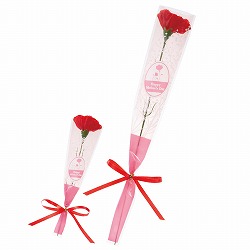 ��53-55-6-1 20�{ �J�[�l�[�V�������{�����b�v��