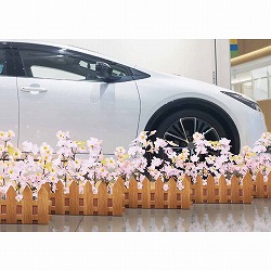 ★53-7-1-1 桜垣根アレンジ(造花)