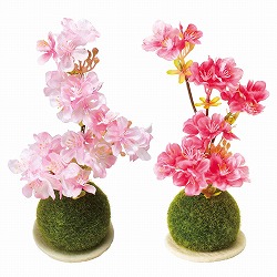 ★53-7-5-1 苔玉桜アレンジ 高さ22cm (造花)