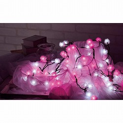 ��53-8-2-1 LED100���P�T�����p�T�����X�g���[�g���C