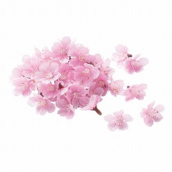 ★53-9-9-1 桜ヘッド 花びら48個セット(造花)
