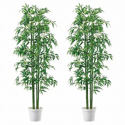 ��55-1-1-2 ���[���o���u�[����180cm (�l�H�ϗt�A��)