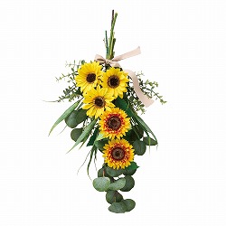 ��55-100-28-1 �Ђ܂�葢�ԃX���b�O62cm