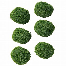 ��55-100-3-1 6�� �N�b�V�������X