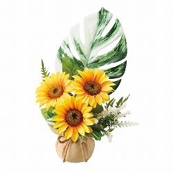 ��55-100-30-1 �Ђ܂�葢�ԃ��b�v