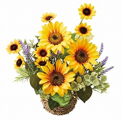 ��55-100-31-1 �Ђ܂��o�X�P�b�g���ԃA�����W