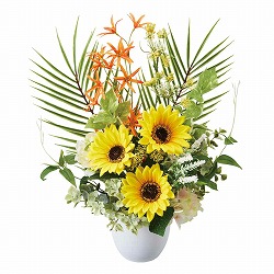 ��55-100-32-1 �Ђ܂�葢�ԃA�����W