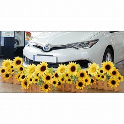 ��55-100-36-1 ����₩�Ђ܂��_�����ԃA�����W