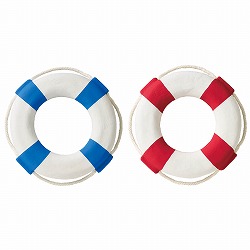 ��55-100-46-1 �����փf�B�X�v���C 66cm�i�u���[�j