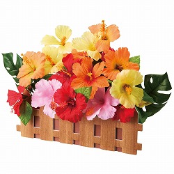 ��55-100-49-1 �J���t���n�C�r�X�J�X�_�����ԃA�����W