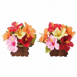 ��55-100-50-1 2�� �n�C�r�X�J�X���Ԋ_���X�^���h